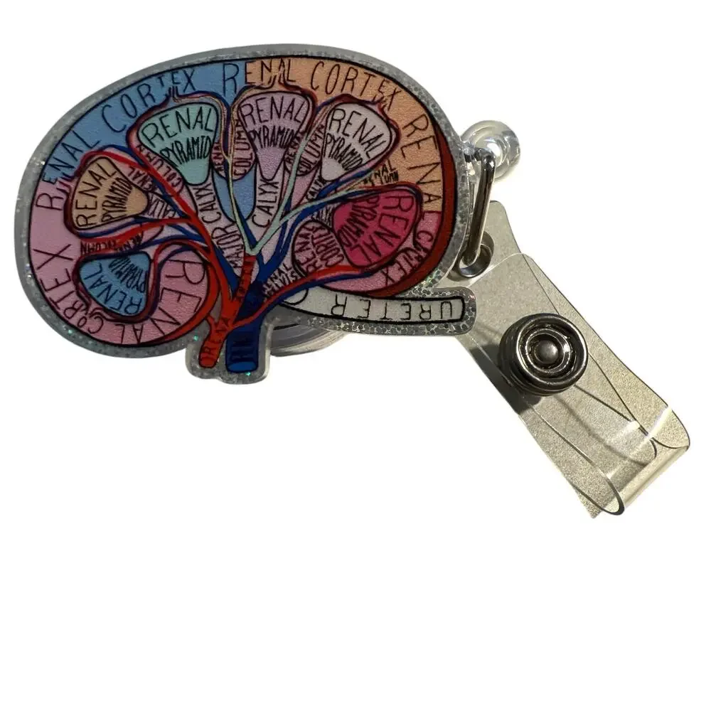 Anatomical Brain Retractable ID Badge Reel, Neurologist, Nurse, Neurology, NWT